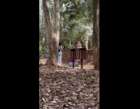 Collab IITW - Man fix bear jump down from stairs