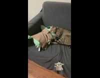 Cat kneads on baby yoda stuffed toy