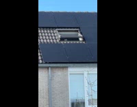 Cat peeking and watching from rooflight
