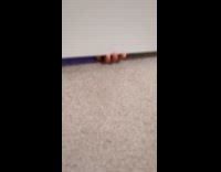 Collab PubityPets - Kid in Room Sticks Finger under Door