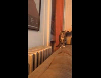 Collab WINY - Radiator squirting water 