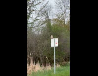 Owl spotted at road sign early morning