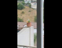 Red shirt guy beer wine on balcony