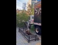 Tree falls caught up on trailer truck