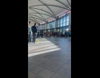 Group of little kids in costumes walking in line 