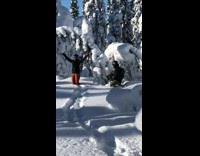 Snow from tree fall to woman kneel part 1