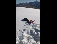 Kid front dive at snow mountain ski