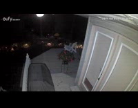 Spider crawls up caught on security camera