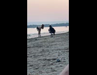 Collab IITW - Woman bikini crouches on beach for photoshoot Part 1