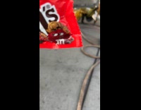 Collab Clips_MPUGC2 - Man jokes about plane on M and M