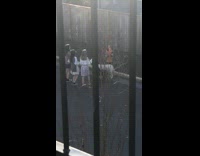 three girls fire hydrant two dogs