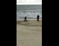 Girl yellow bikini sit beach tree trunk