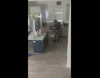 Raccoon removed from house kitchen by man with stick 