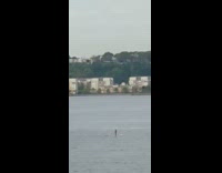 Person paddle boarding river new york boat cab view