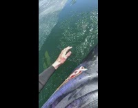 Man grab some ice shards asmr lake