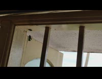 Bee carrying leaf goes inside hole 