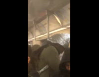 Guy wears foil hat with cheat codes