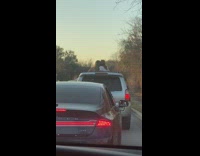 Two girls outside grey SUV sunroof traffic 
