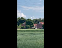 Bird flies around stop to flap wings