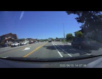 Pet dog ran away almost got run over by the car