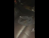 Girl blue shirt looking at black underwear in movie theater seat 