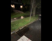 Collab WINY - Water shoot out from grass reach tree