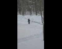 Man looks for car covered in snow