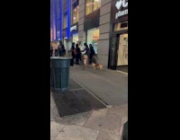 Woman wears leggings printed with her dog