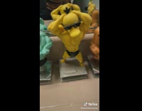 Guy shows his collection of pokemon figurines