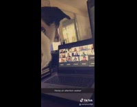 Dog joins girls online classes zoom 