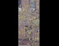 Person Wears COVID Vaccine Costume 