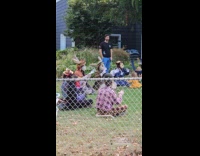 Collab WINY - People wears rabbit masks gather at backyard