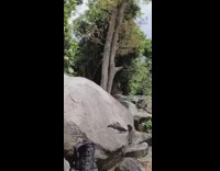 Rope swing fail guy grey shorts rock