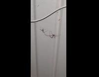 Two thin spider fights on the wall
