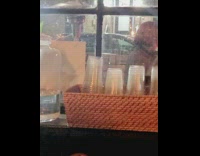 Rat crawls near water cups 