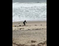 Collab Kook Of The Day - Guy wearing wetsuit practices surfing on sand 