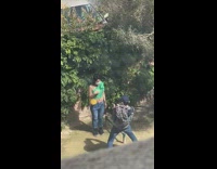 White face mask green shirt corona virus