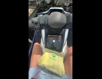 Collab Clips MPUGC - Walking dog on jetski bahamas