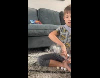 Young boy put eyeball toy in glass