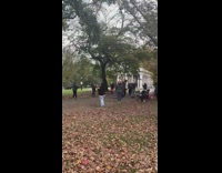 Grey sweater girl mask cracks whip park