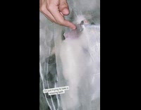 Cat tries to bite finger through shower curtain 