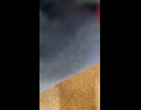 Tabby cat lick soft treat from packet