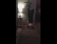 Woman panda mask headstand drop star lose electricity