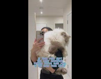 Lady holds up large cat by mirror 