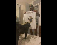 2 pugs bark at pug shirt 