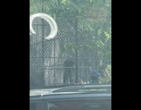 Collab WINY - Man black shirt workout at park lift metal fence 