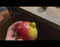 Small apple grow on stem of apple