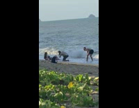 Woman in bikini poses and splashed at the beach