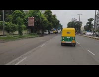 Guy rides scooter cows on street road 