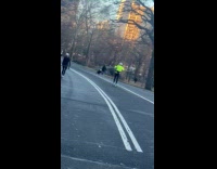 Random man skis uphill in Central Park